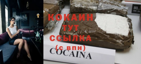 прущие грибы Козельск