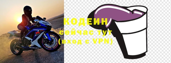 прущие грибы Козельск