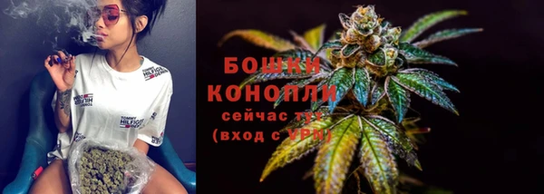 прущие грибы Козельск
