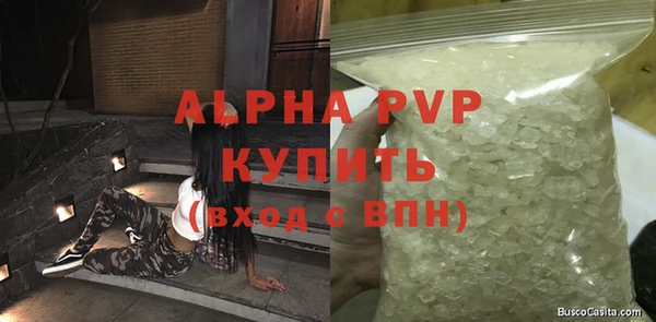 прущие грибы Козельск