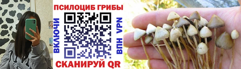 Купить где  Гороховец  Псилоцибиновые грибы прущие грибы 